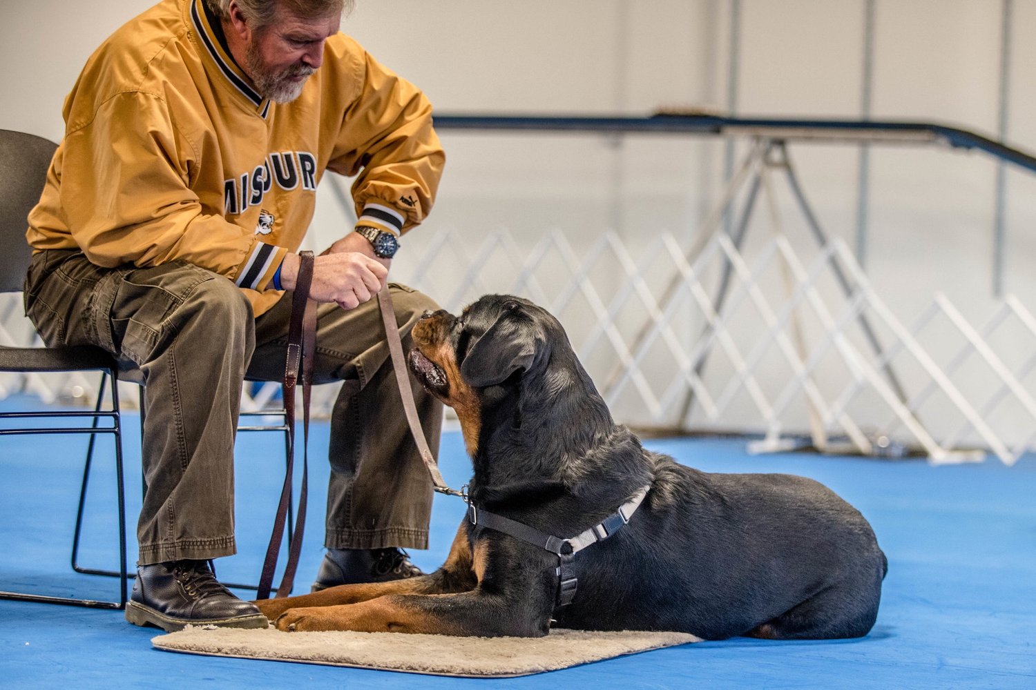 Puppy Classes & Sessions, Canine Enrichment Center