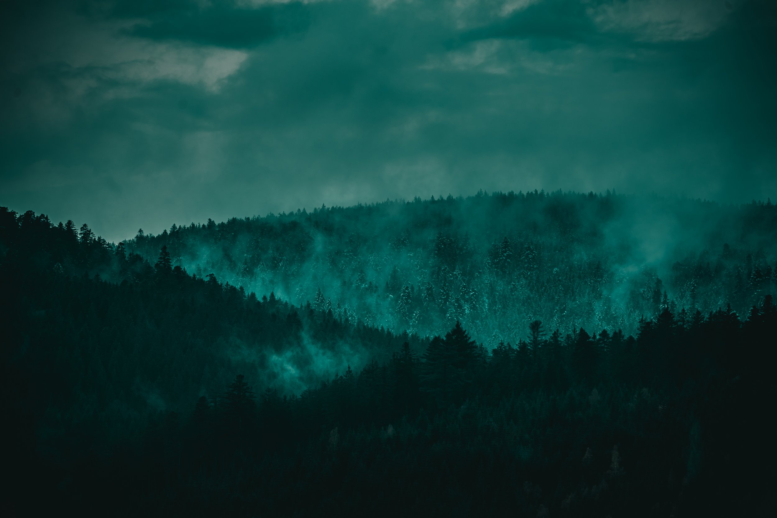 Schwarzwald Fotokunst und Fineart im Shop kaufen