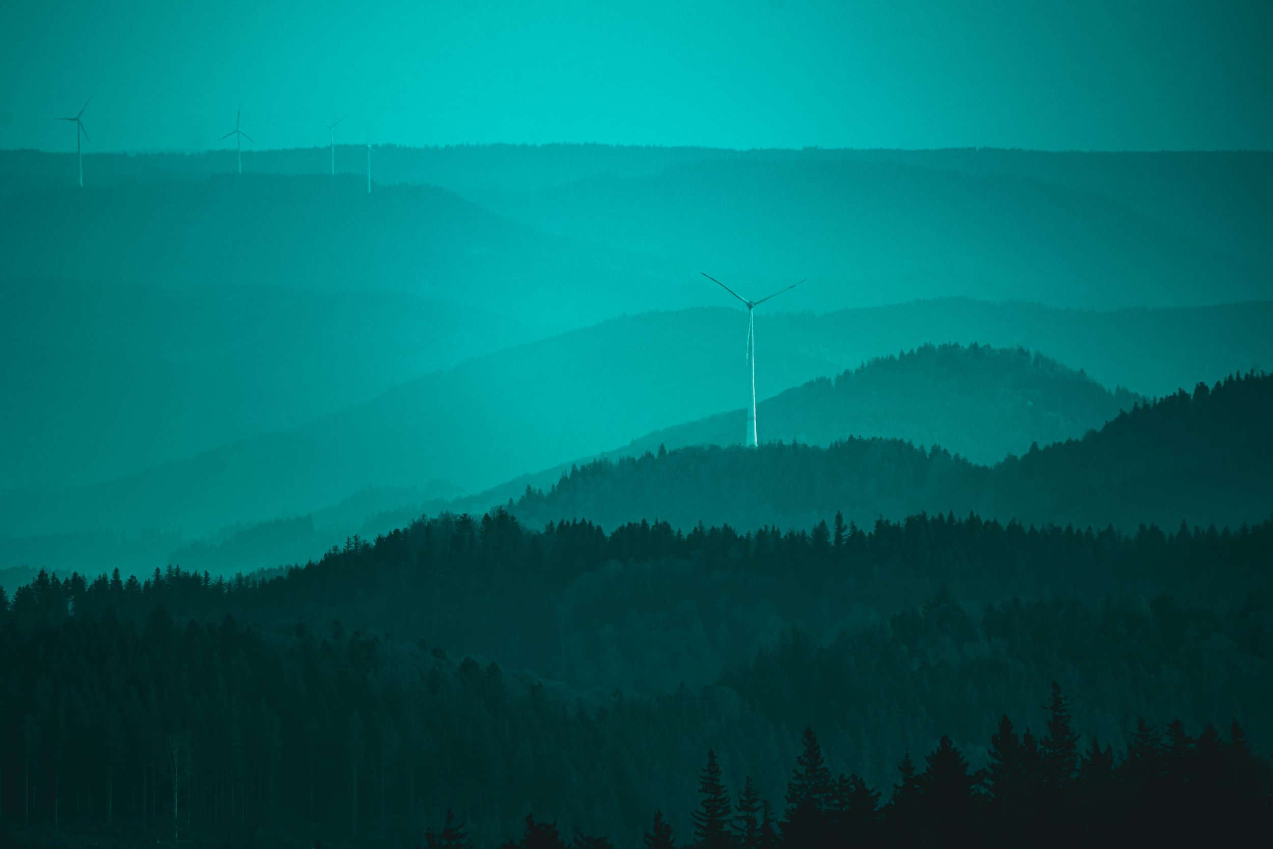 Schwarzwald Fotokunst und Fineart im Shop kaufen