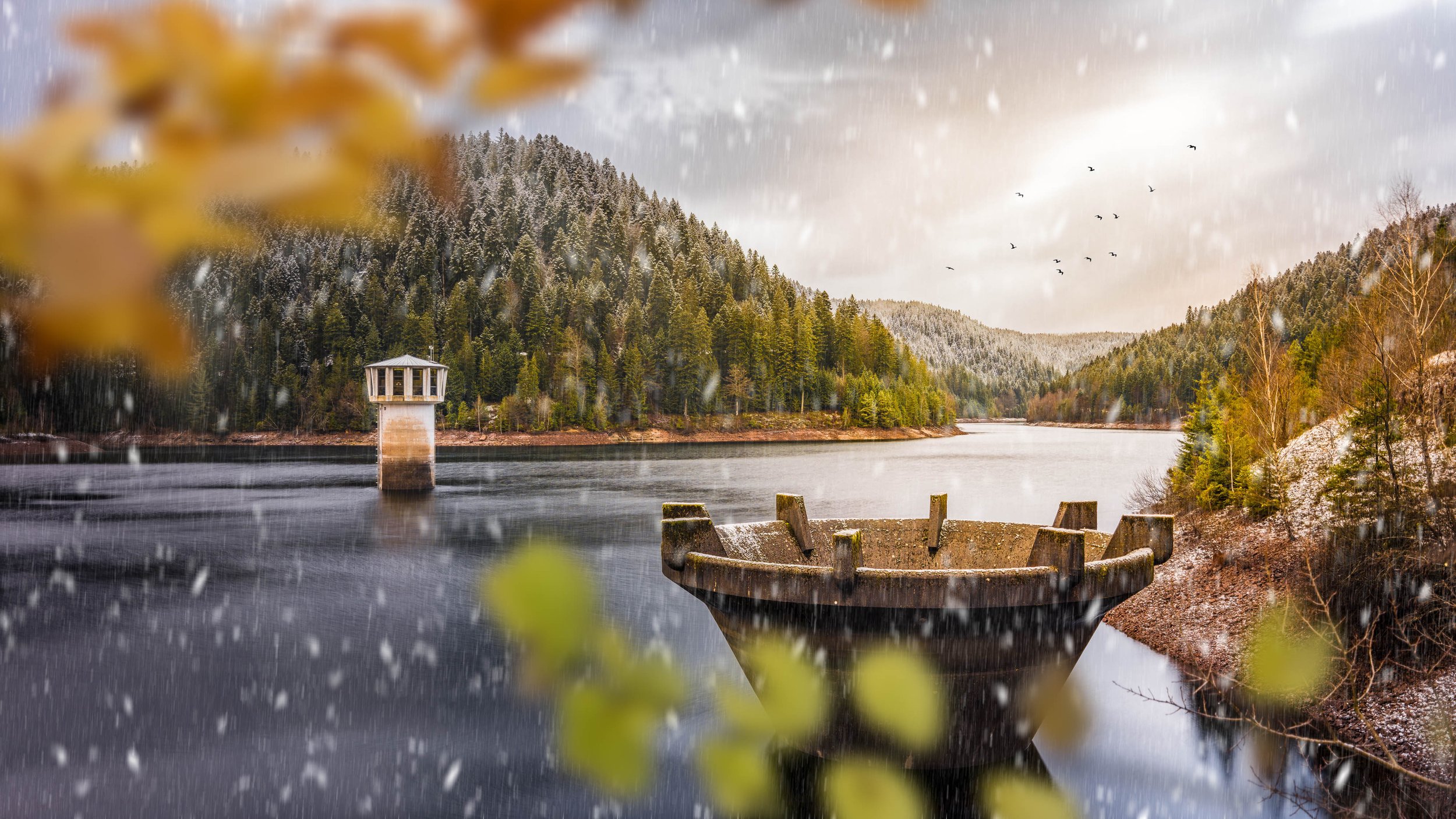 Schwarzwald Fotokunst und Fineart im Shop kaufen