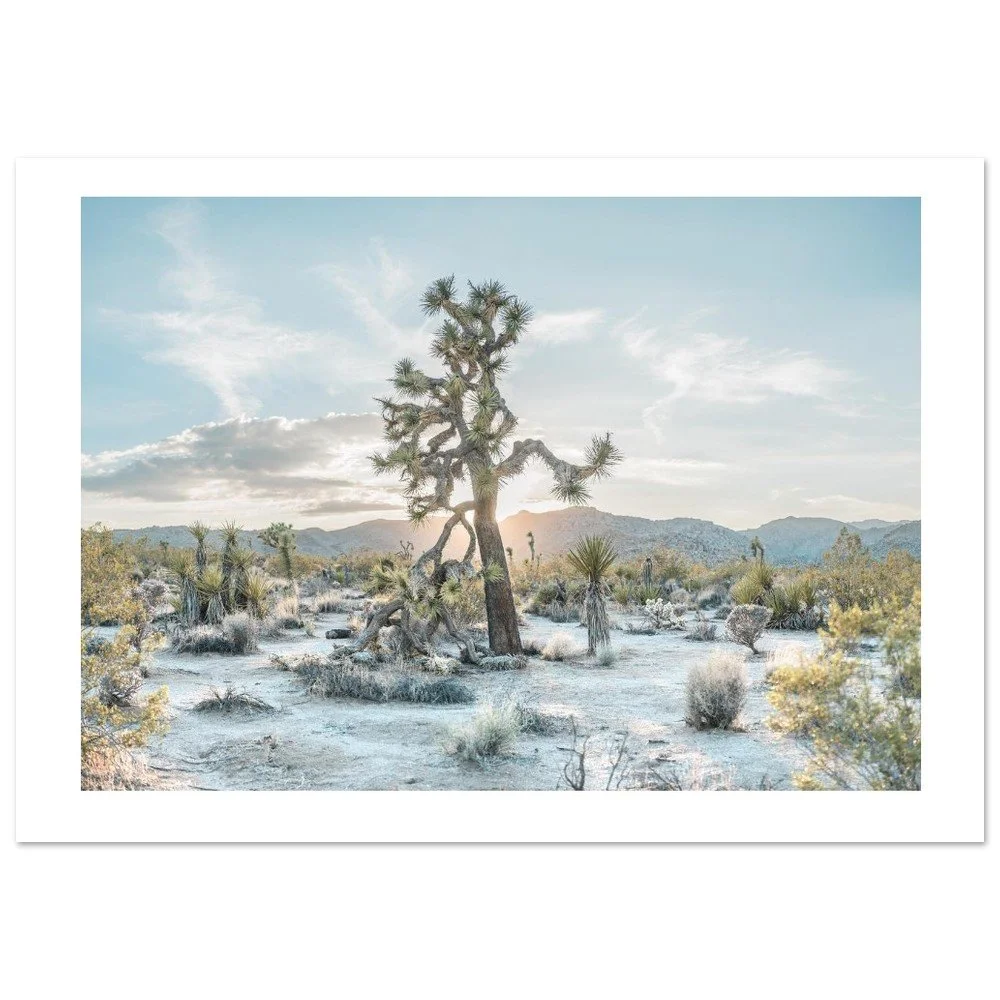 tmp-166-FUDaa1y6lHHH