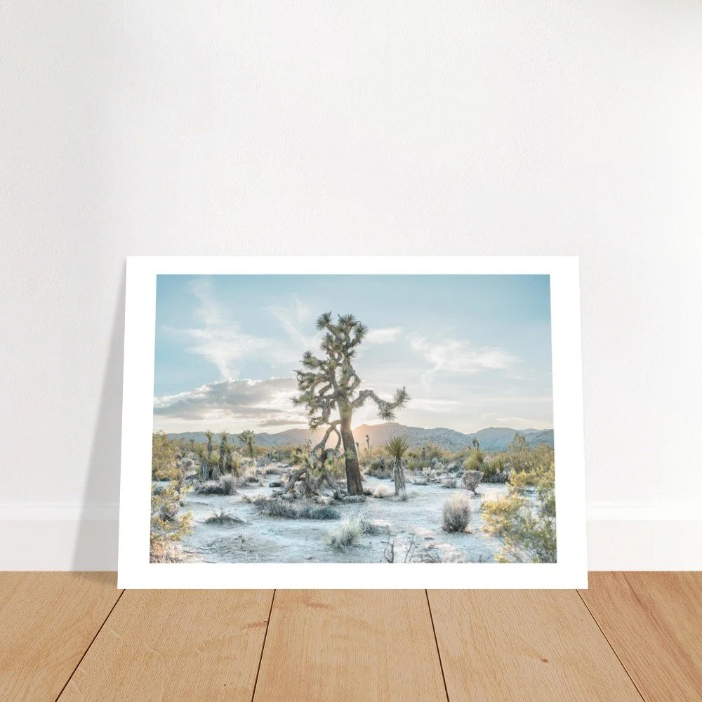 tmp-166-wK6U1XRV1zm6