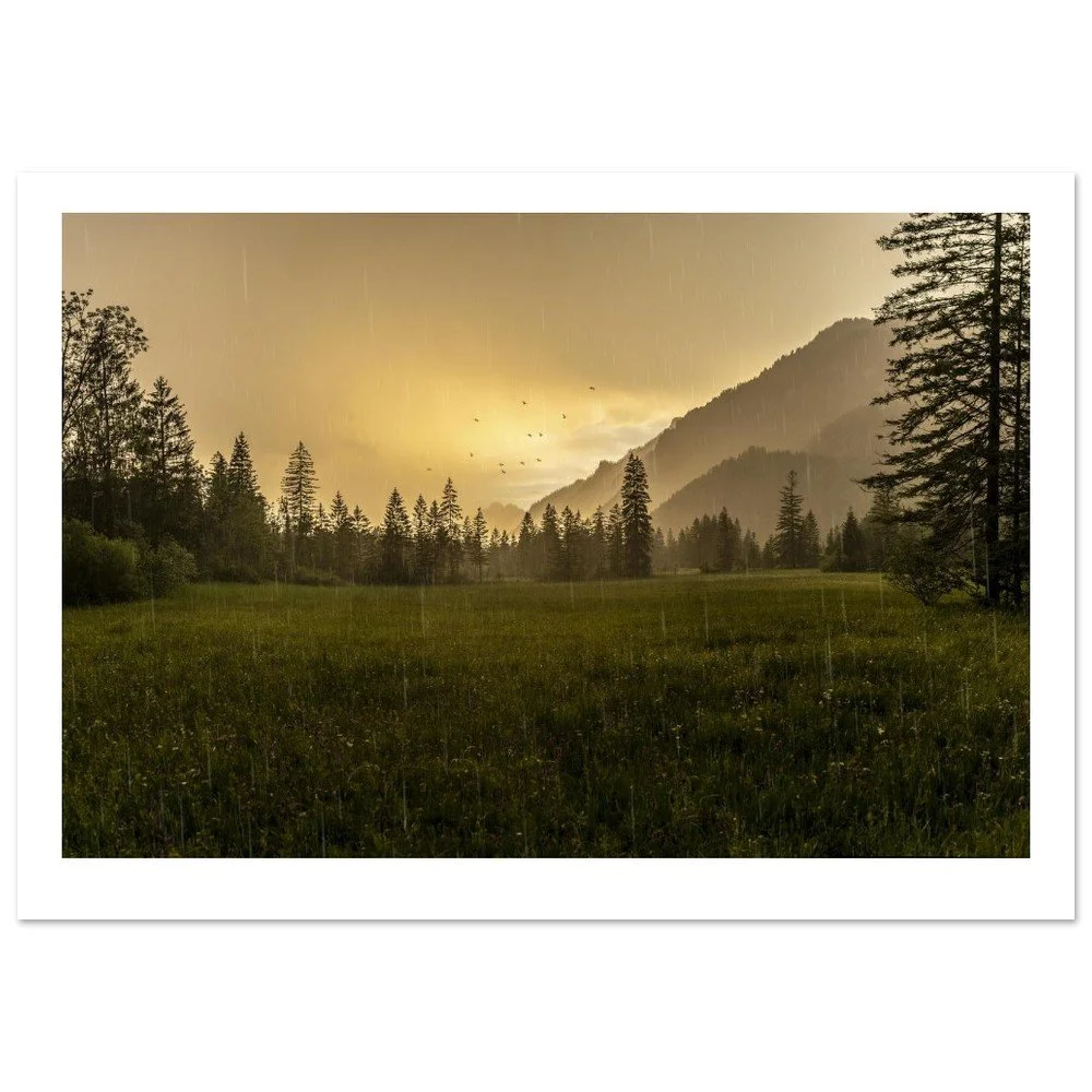 tmp-169-wyyZjEeiqsld