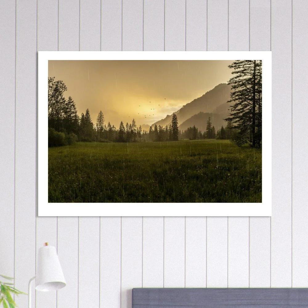 online_poster_shop_landscape_fineart-3X