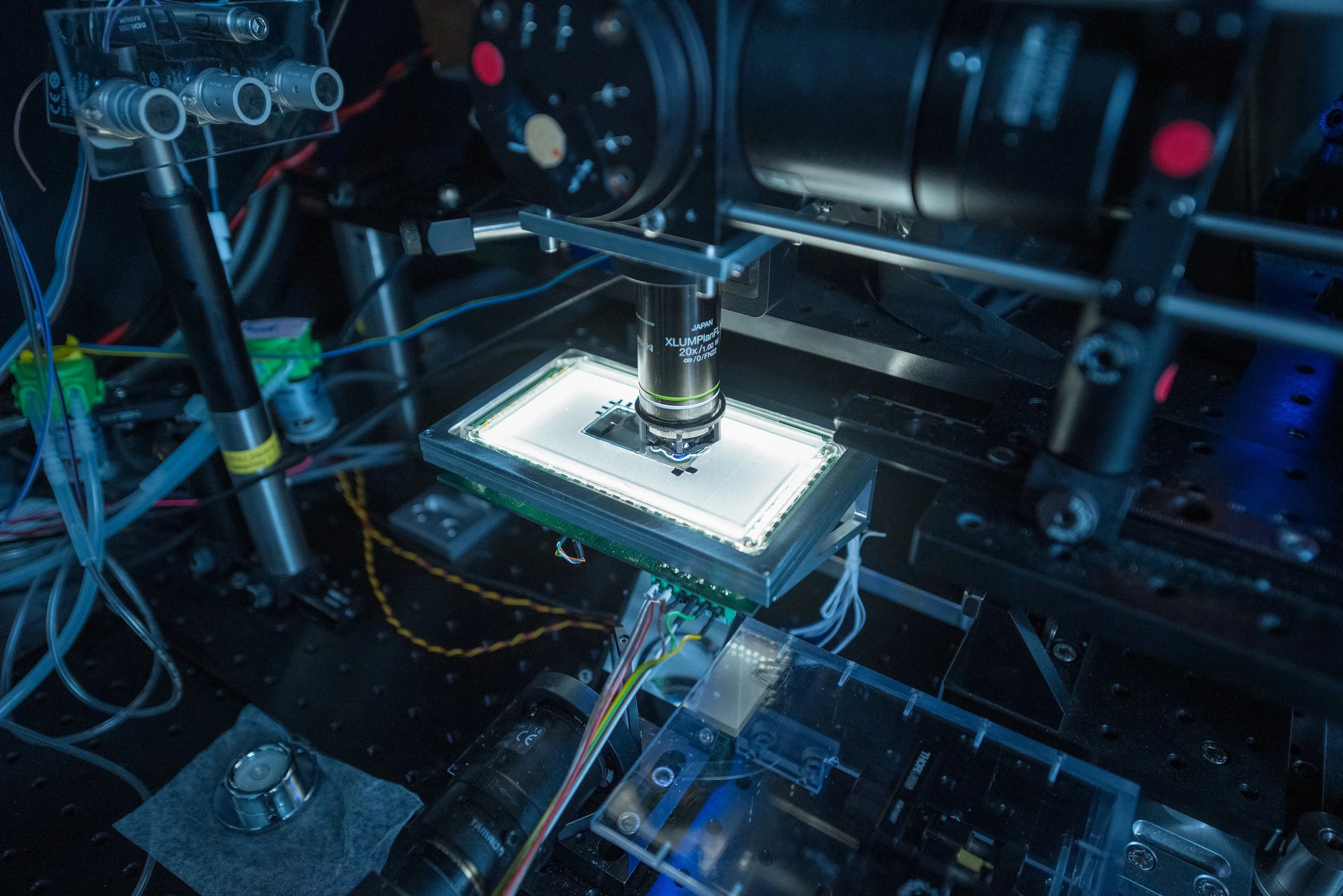Ein Mikroskop untersucht eine kleine Probe auf einer beleuchteten Plattform in einem wissenschaftlichen Labor. Das Setup besteht aus technischen Geräten, Kabeln und mechanischen Komponenten.
