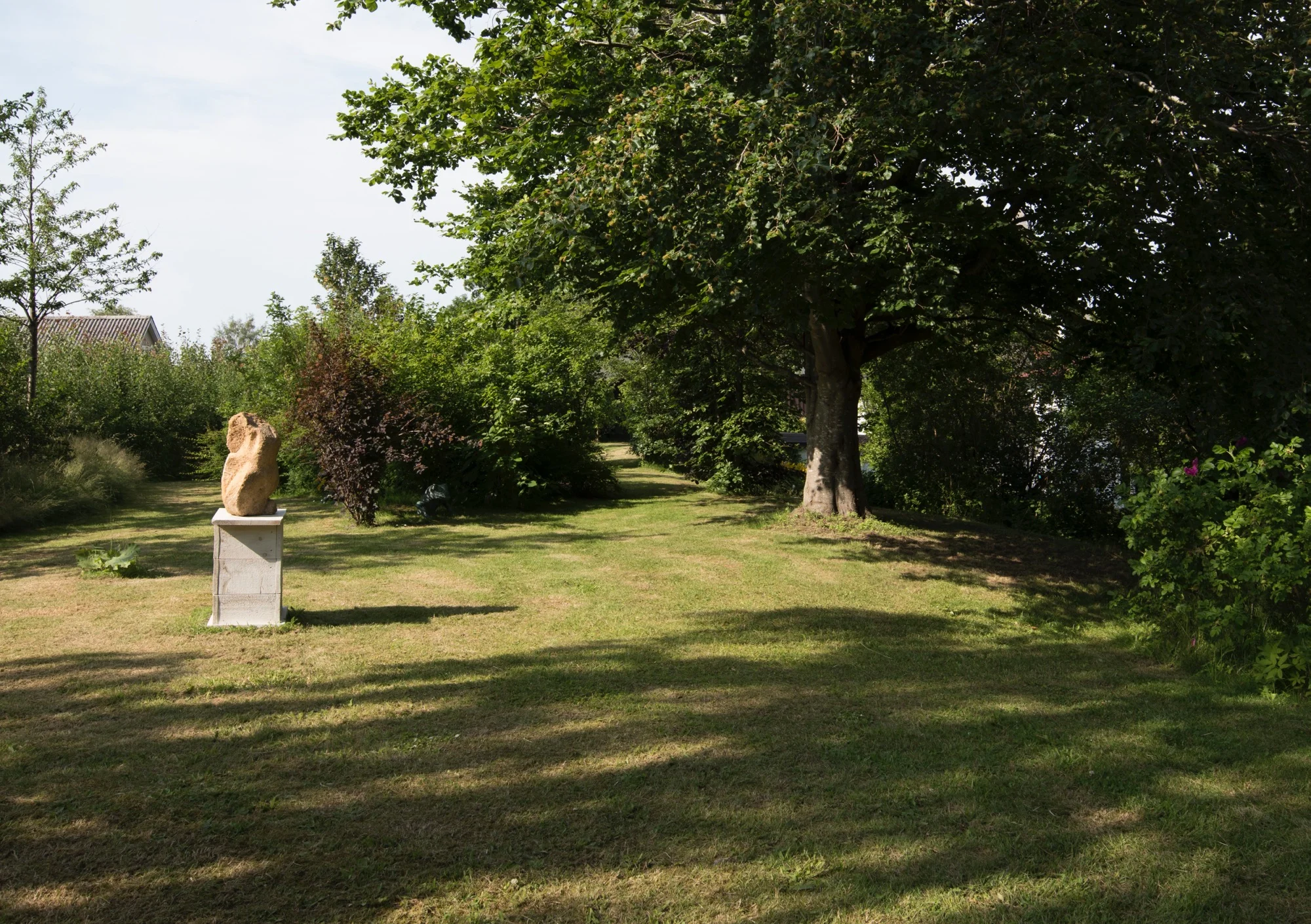 DSC_3226c.jpg