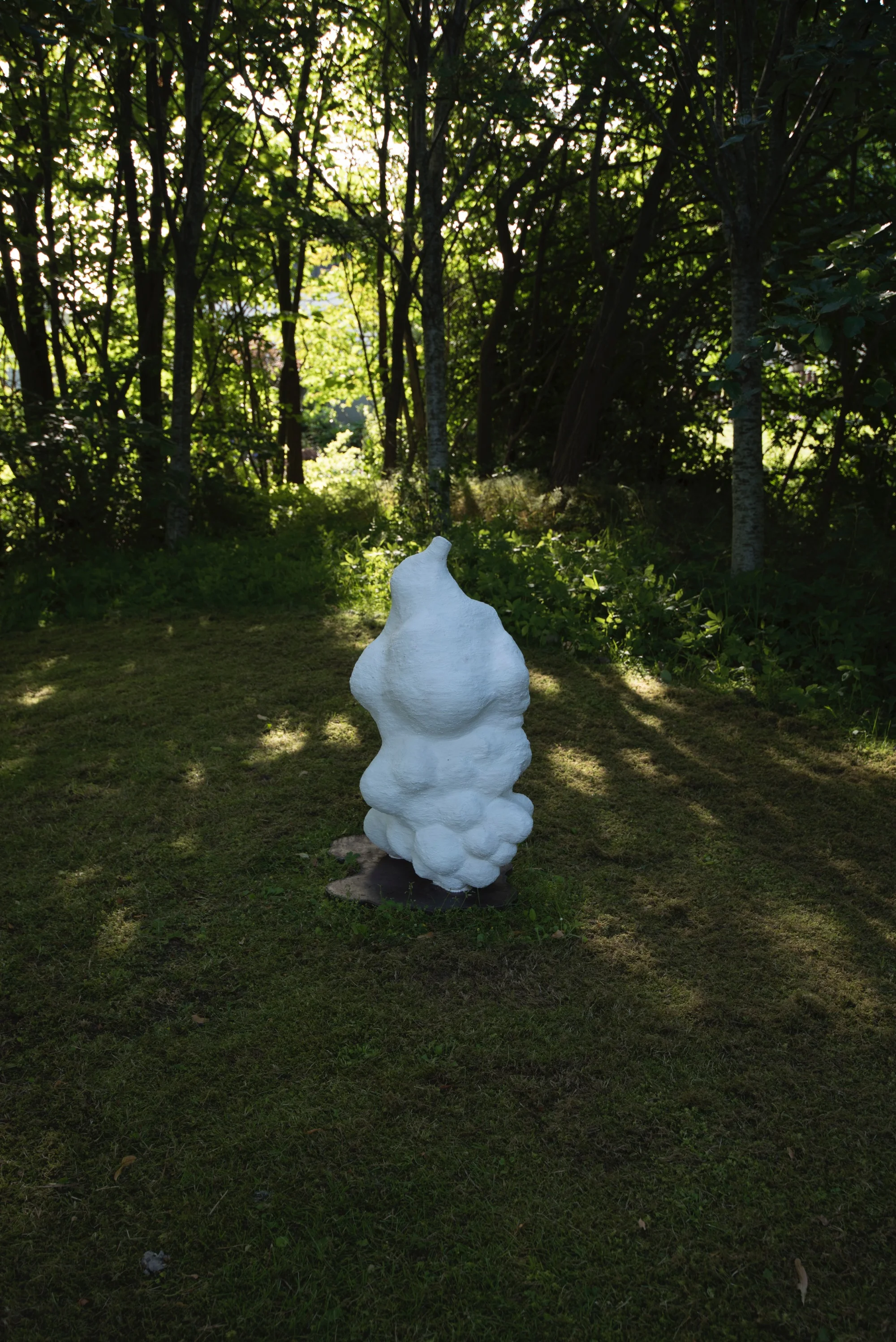 DSC_3191c.jpg