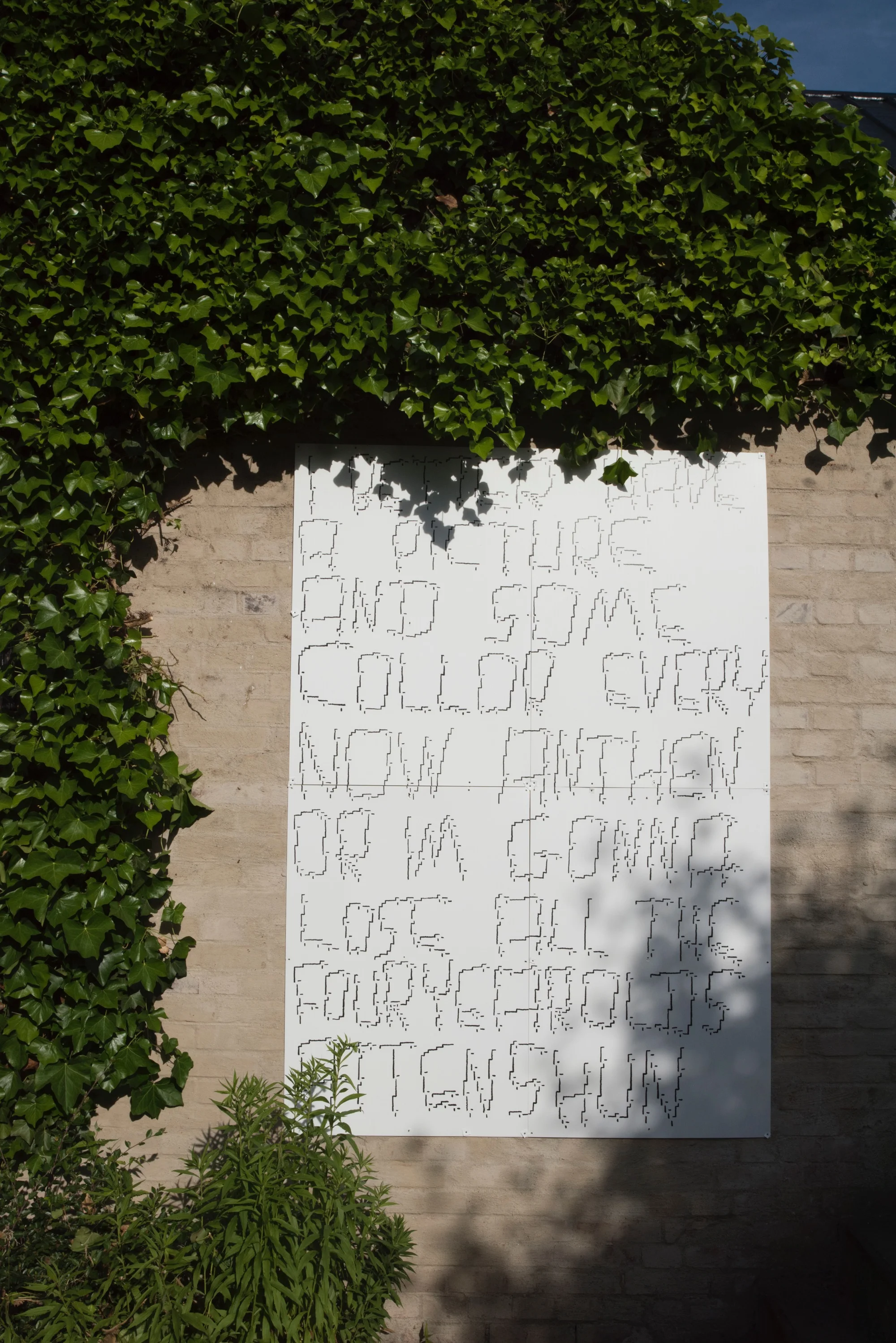 DSC_3184c.jpg