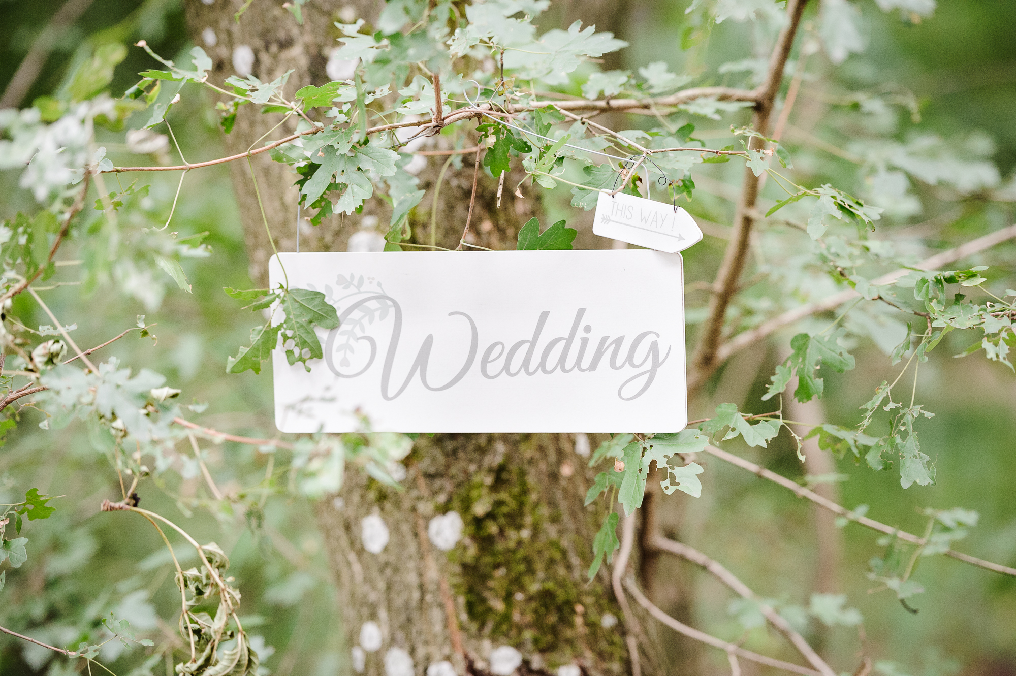 Hochzeit_015.jpg
