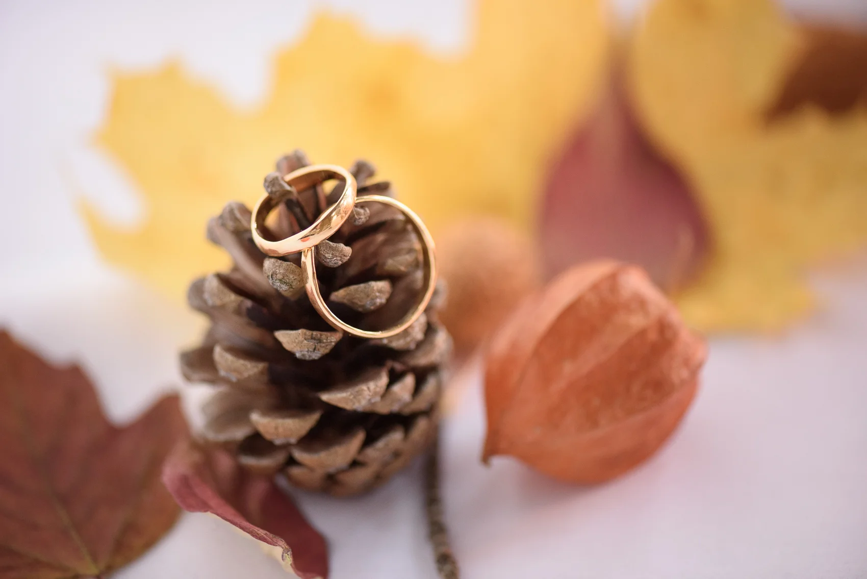 Herbst_140.jpg