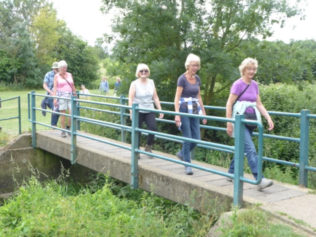 Walking3.jpg