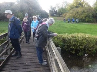 Walking Group d.jpeg