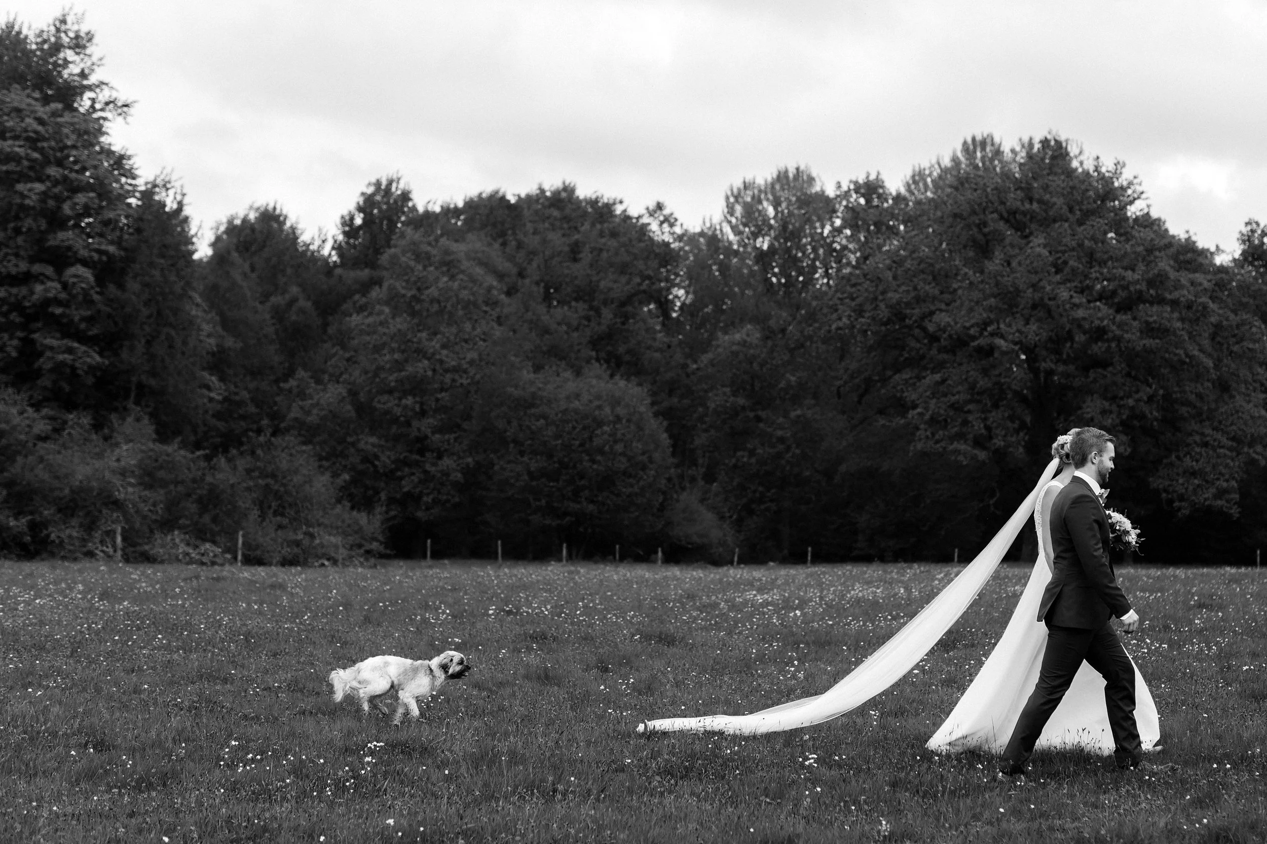 ALX_0531bw.jpg