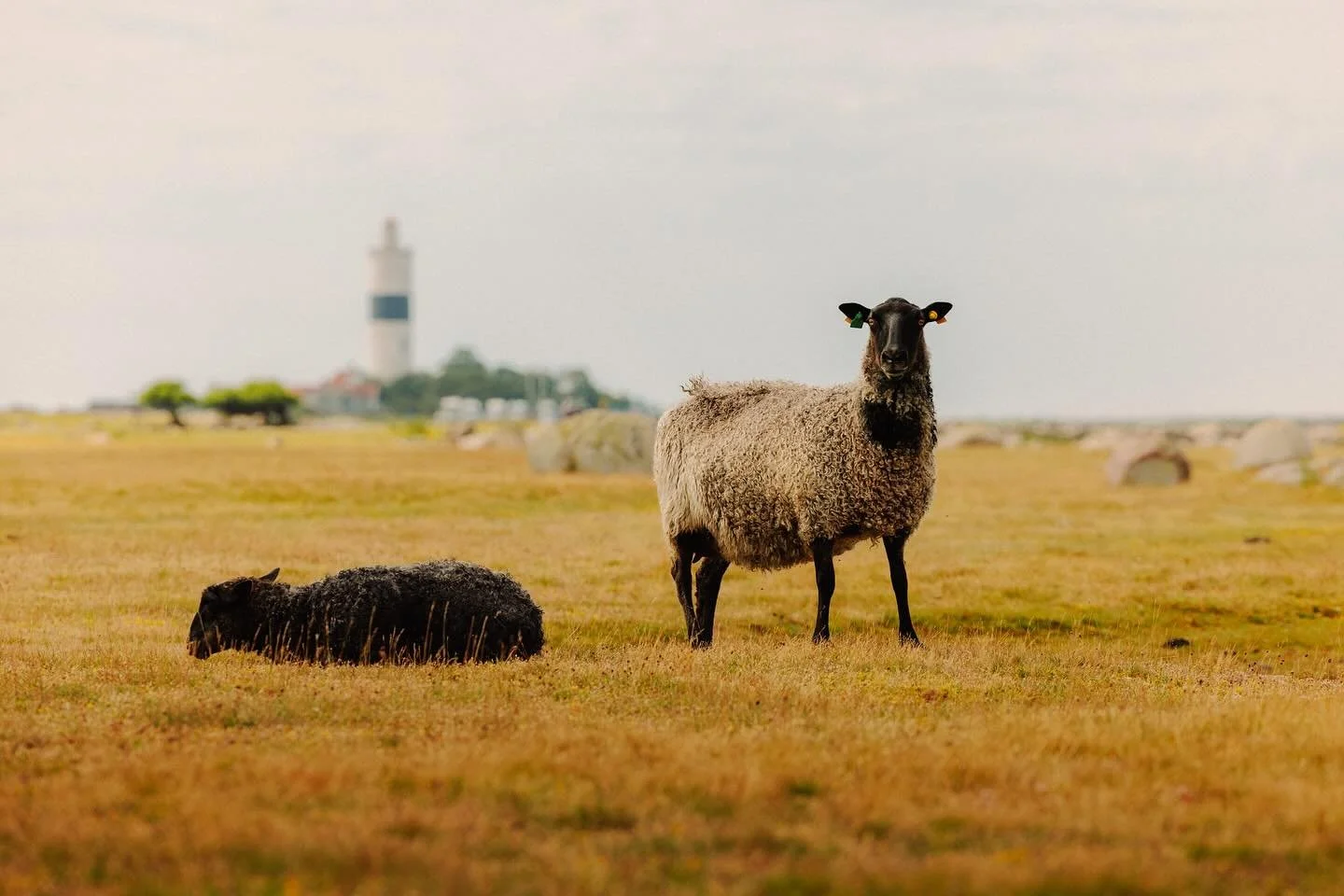 &Ouml;land