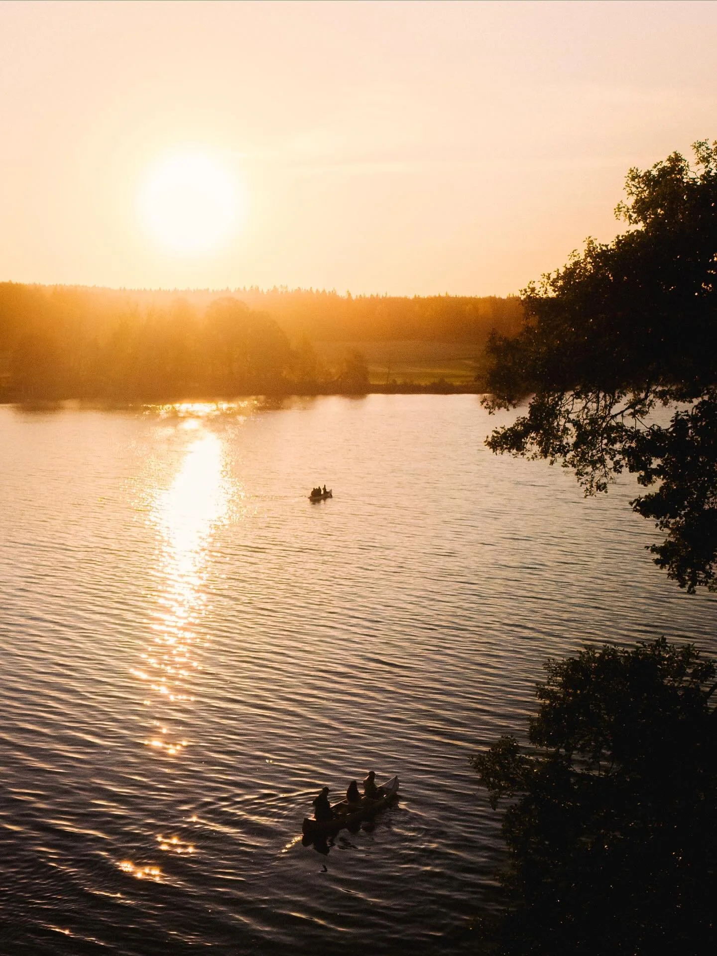 Work for @knowledgecottonapparel