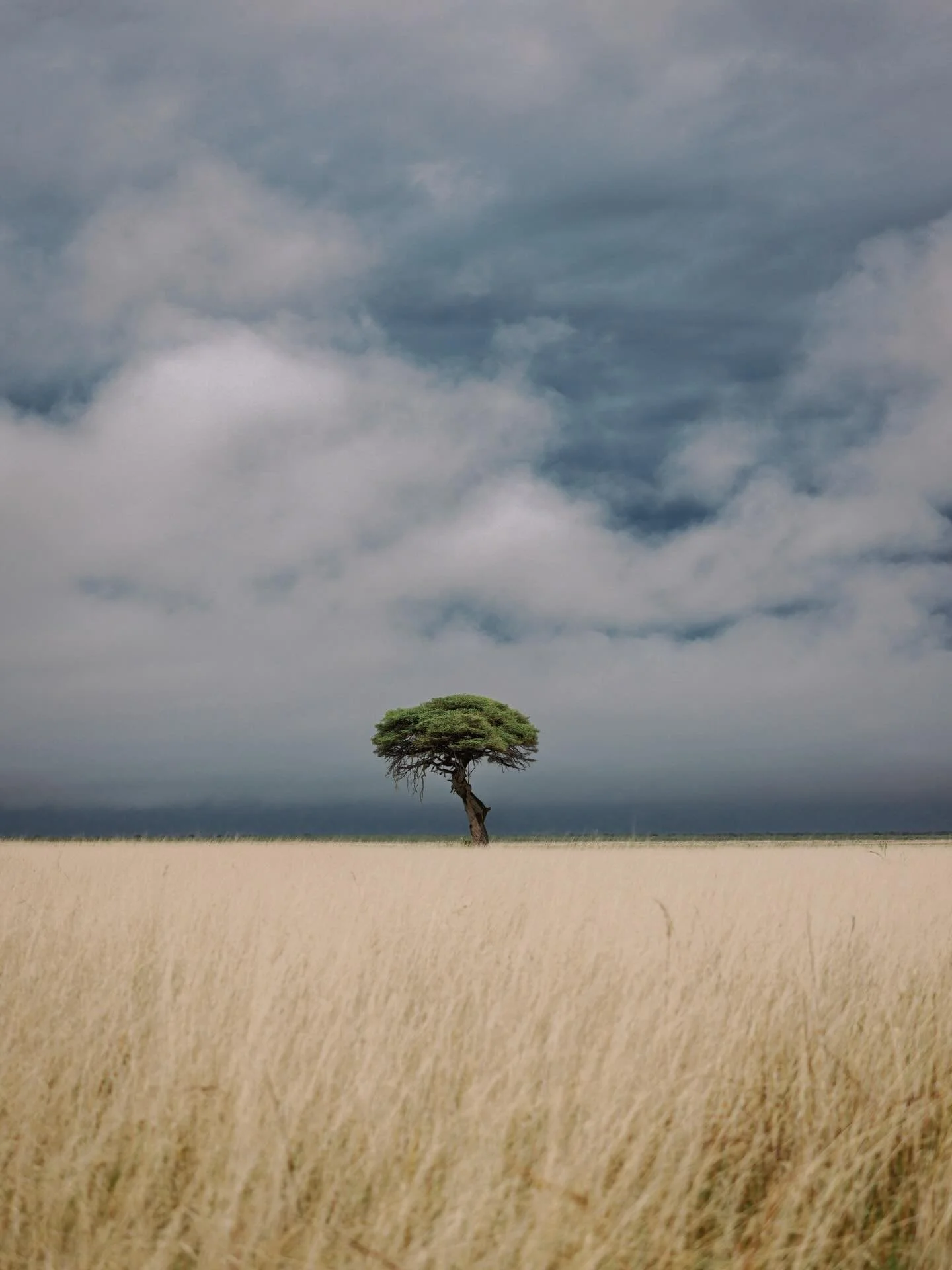 Etosha National Park