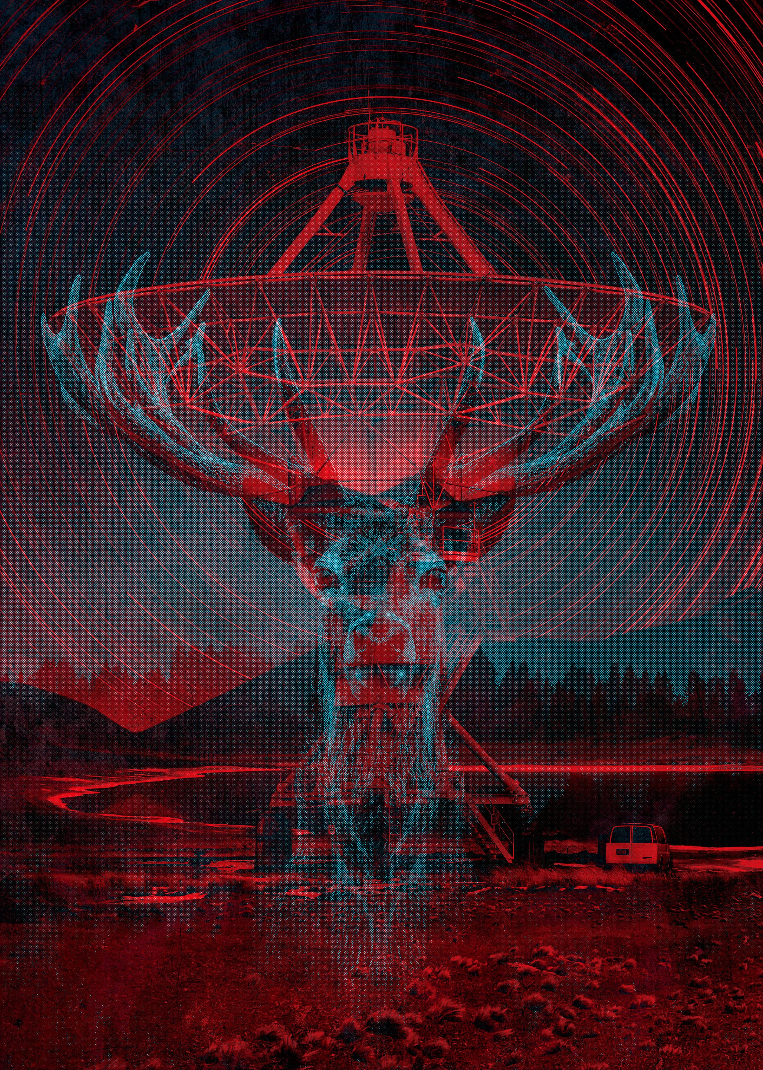 Deer