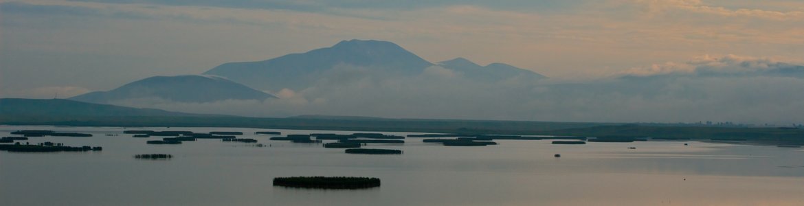rsz_khanchali_iba_z_javakhishvili_5.jpg