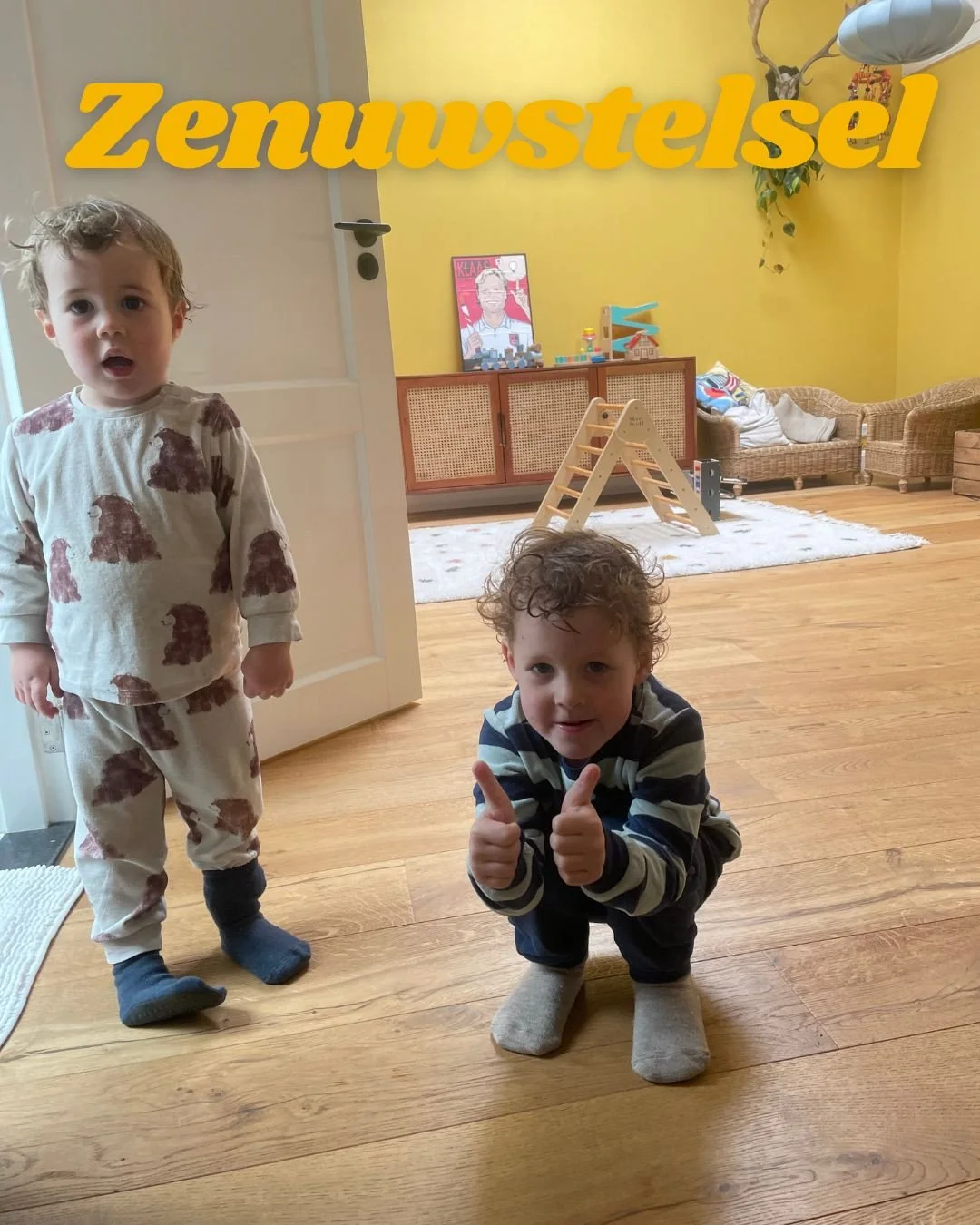 Wist je dat het zenuwstelsel van kids nog volop in ontwikkeling is? Hun lijfjes reageren vaak heftig op prikkels &ndash; een hard geluid, een drukke dag, of zelfs een kleine verandering in routine.⁠
⁠
👉 Daarom zie je soms tranen, driftbuien of juist