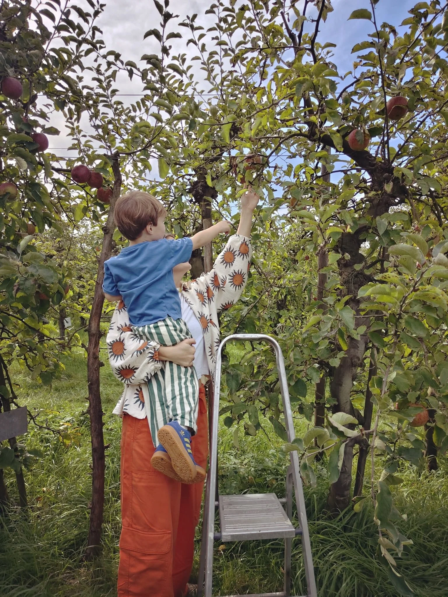 🍎 vandaag weer appels mogen plukken bij de boom van de liefste overbuurvrouw!