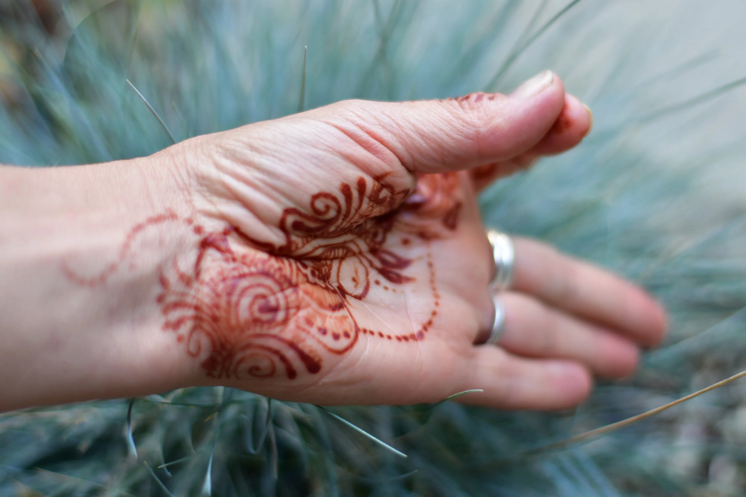 No Classes on Statutory Holidays