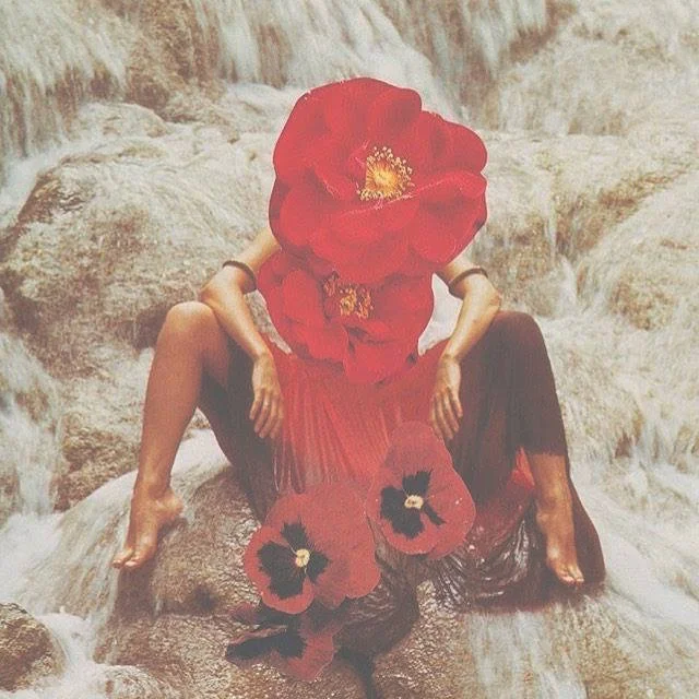 Embrace your Shakti:  Reclaim the Wisdom of your Menstrual Cycle