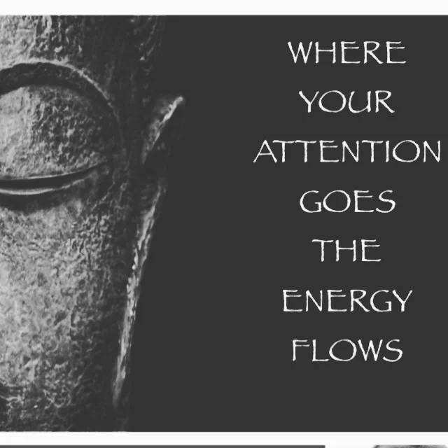 DRISHTI with Maria Whittaker