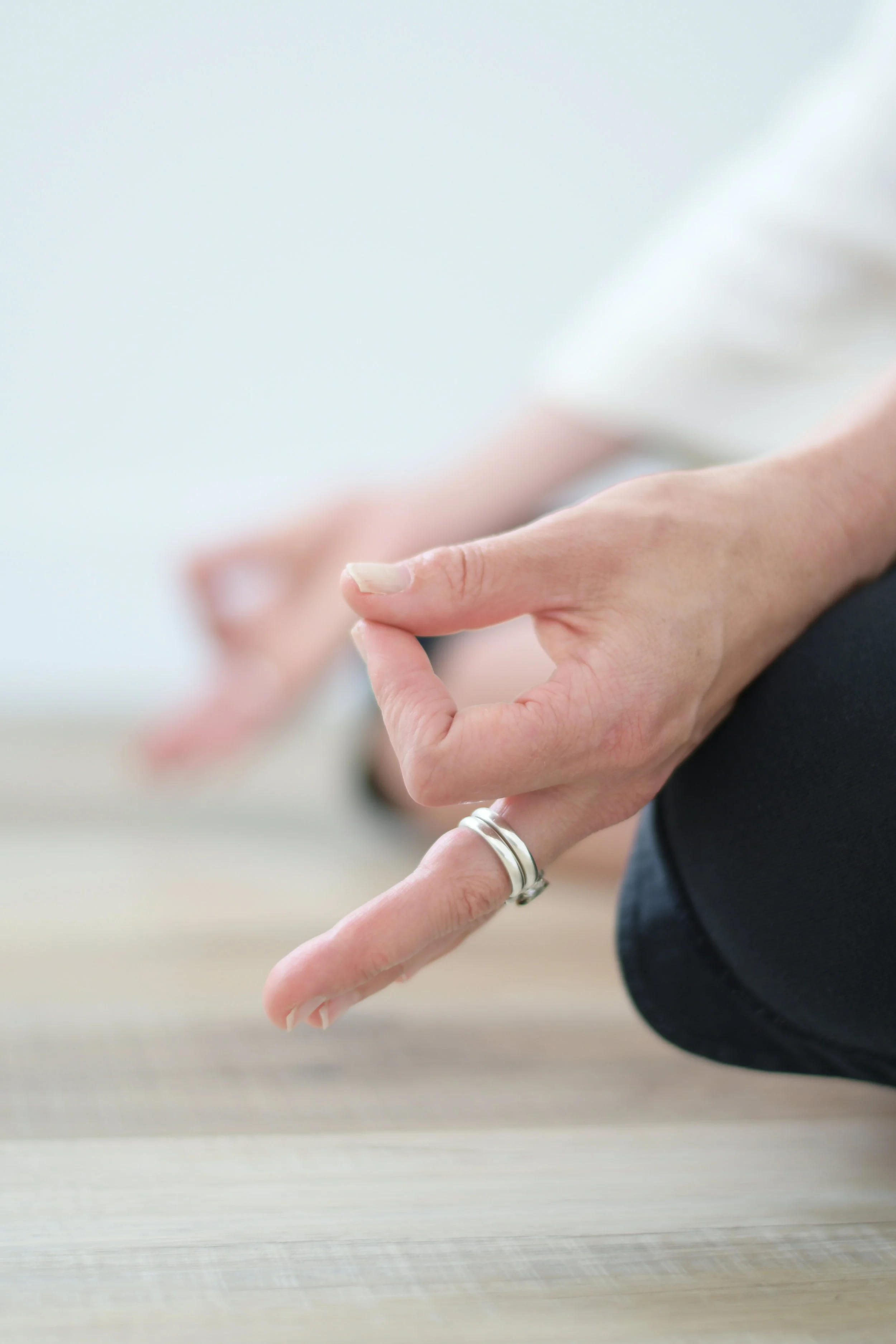 Whistler, BC - Join Fiona Stang for 6 days of Mysore practice this August