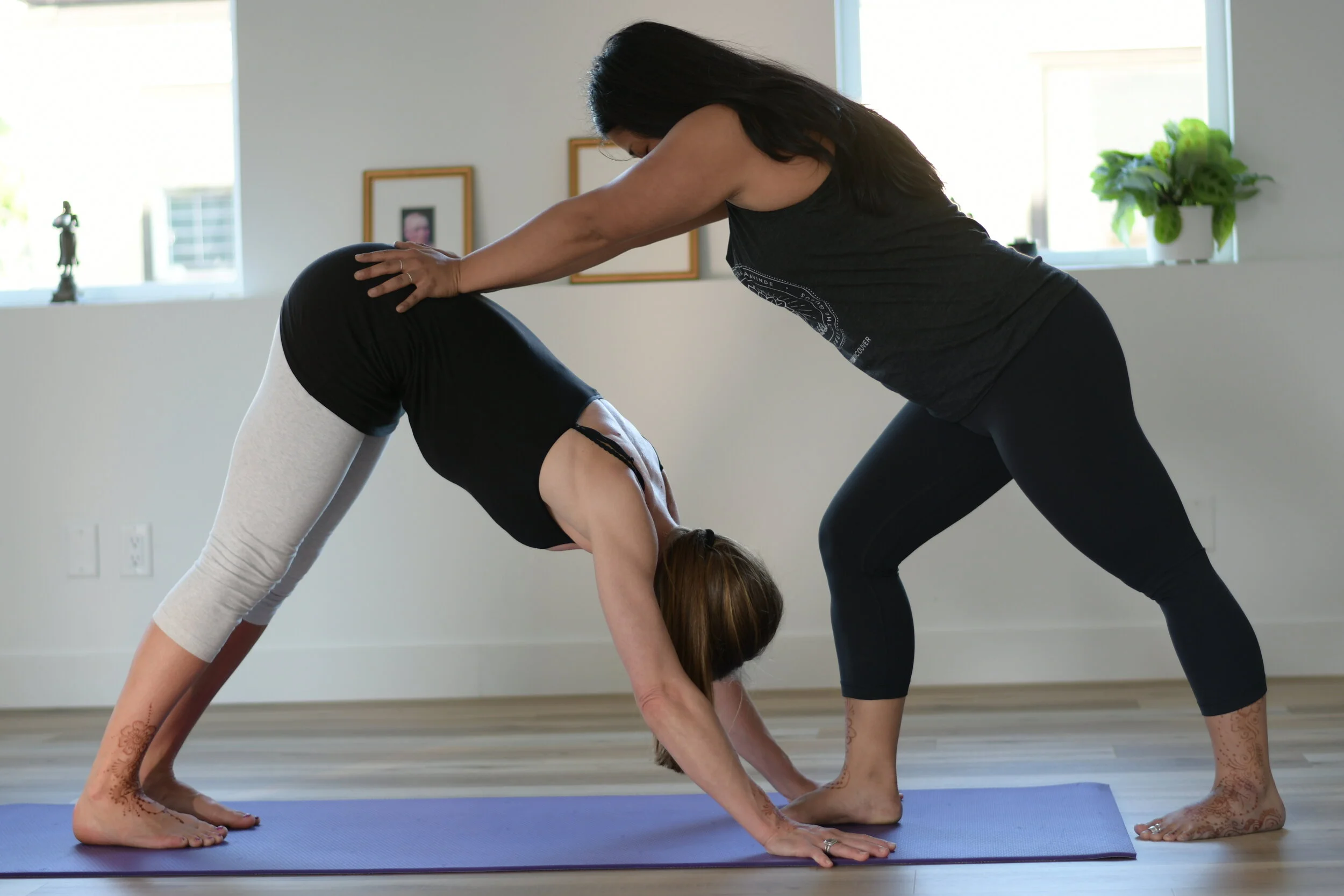 Surya Namaskara &amp; Vinyasa