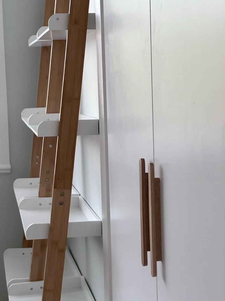 20240828_085944725_iOS Large.jpeg