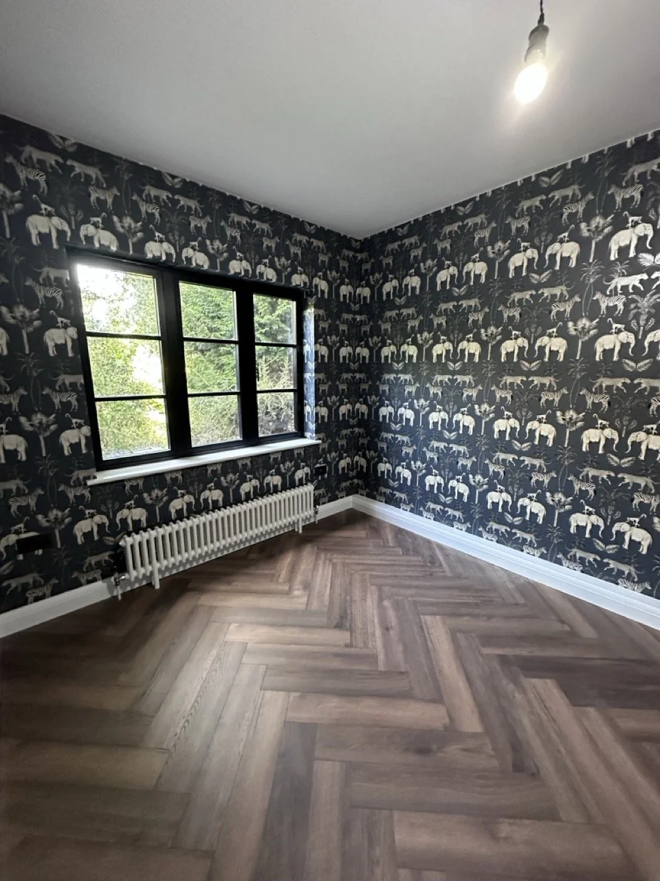 IMG_9437(1) Large.jpeg