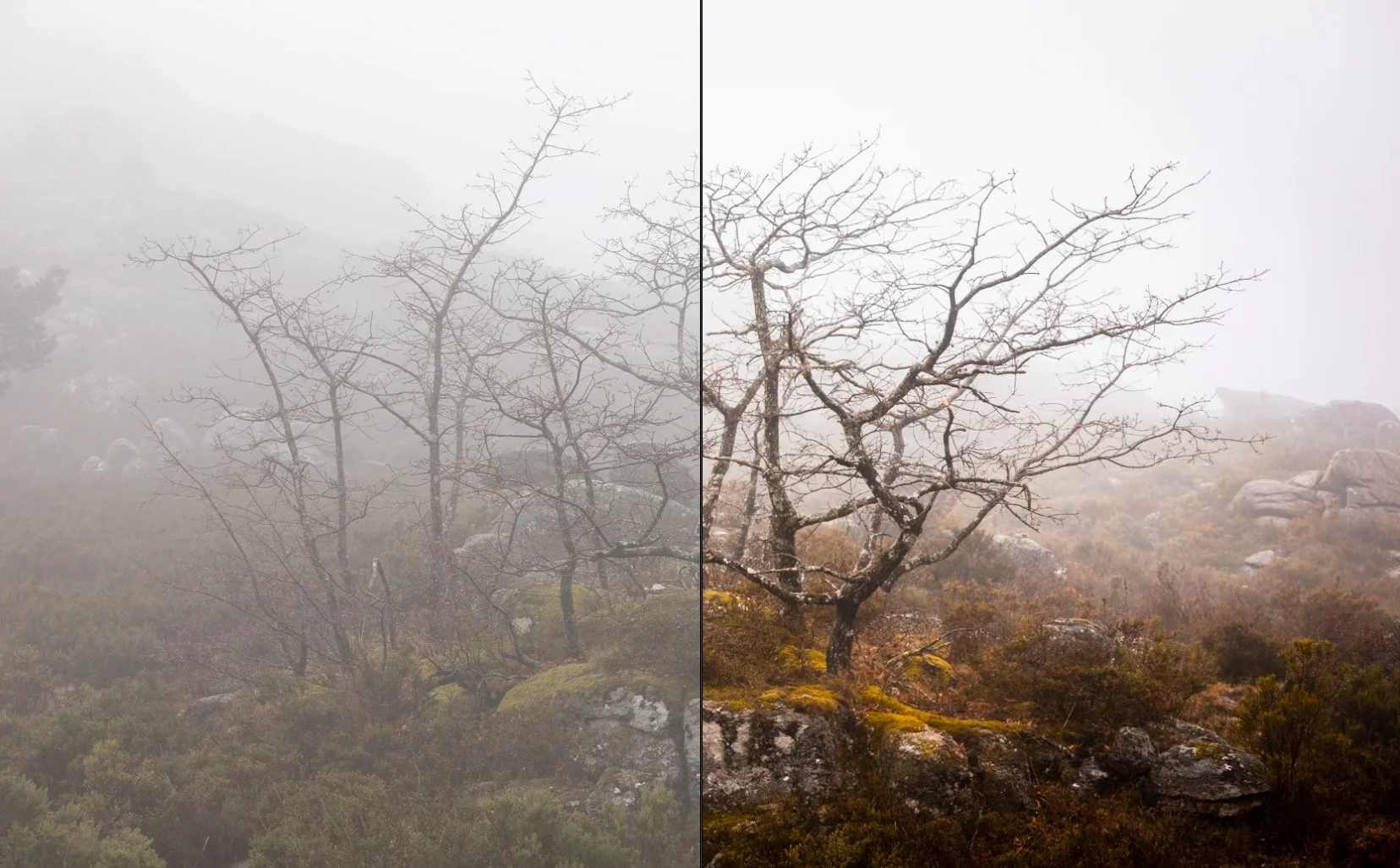 Com alguns retoques podemos passar rapidamente da imagem à esquerda (antes) para a imagem à nossa direita (depois). Conseguimos obter um aumento substancial de detalhe e contraste juntamente com um aumento de saturação das cores!