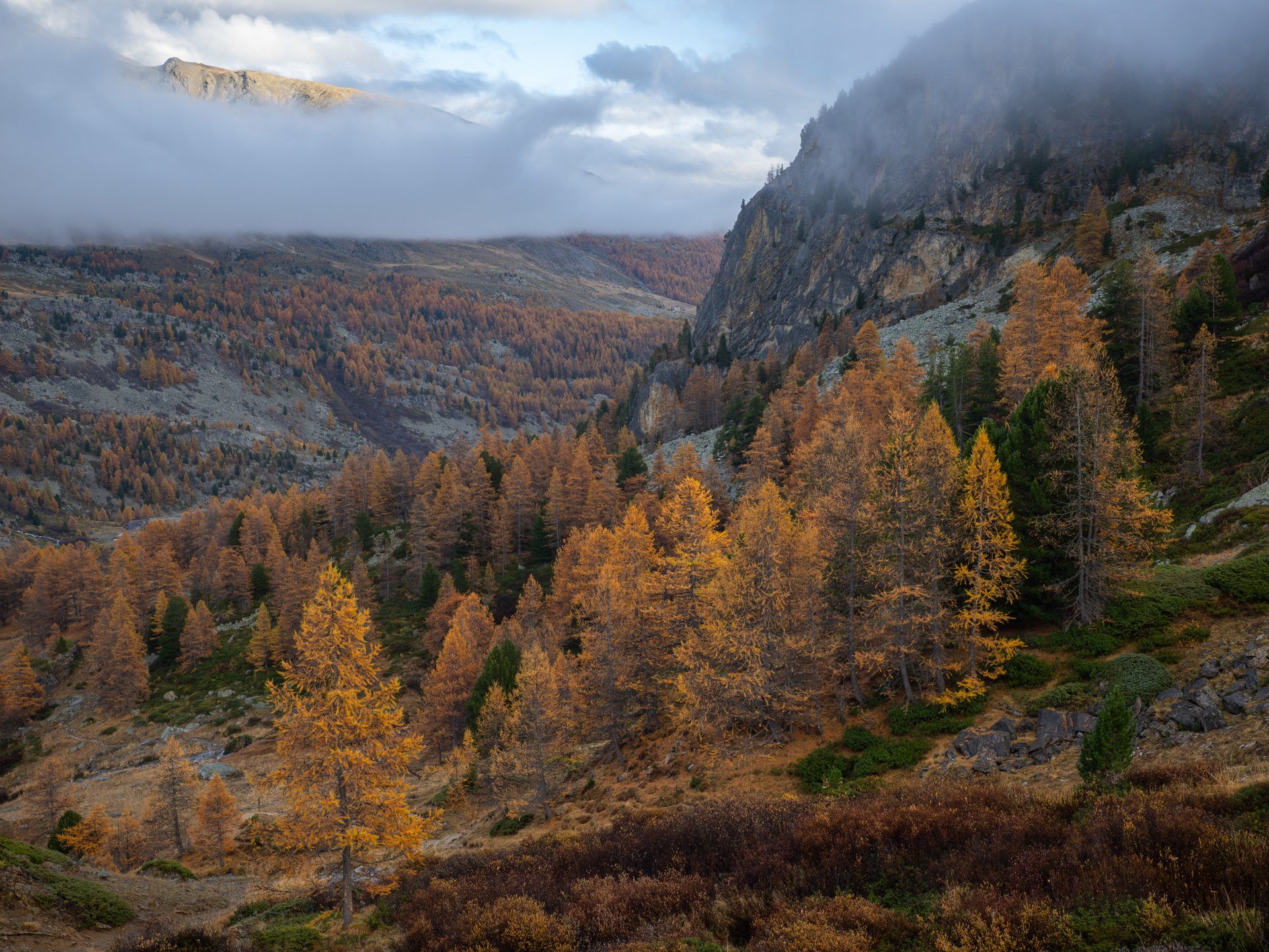 _A241451-Enhanced-NR-1.jpg