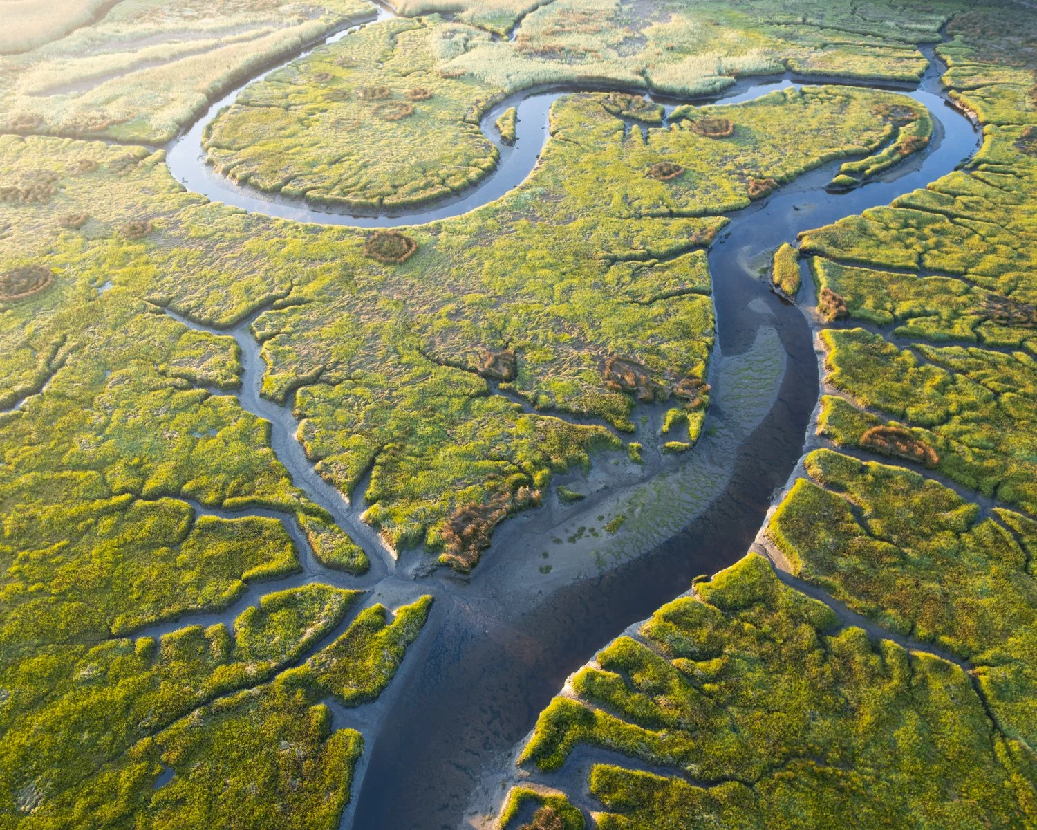 DJI_0056-Enhanced-NR.jpg
