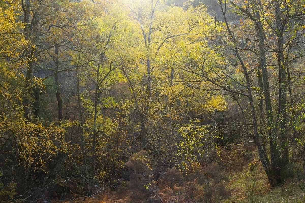 _B200323.jpg