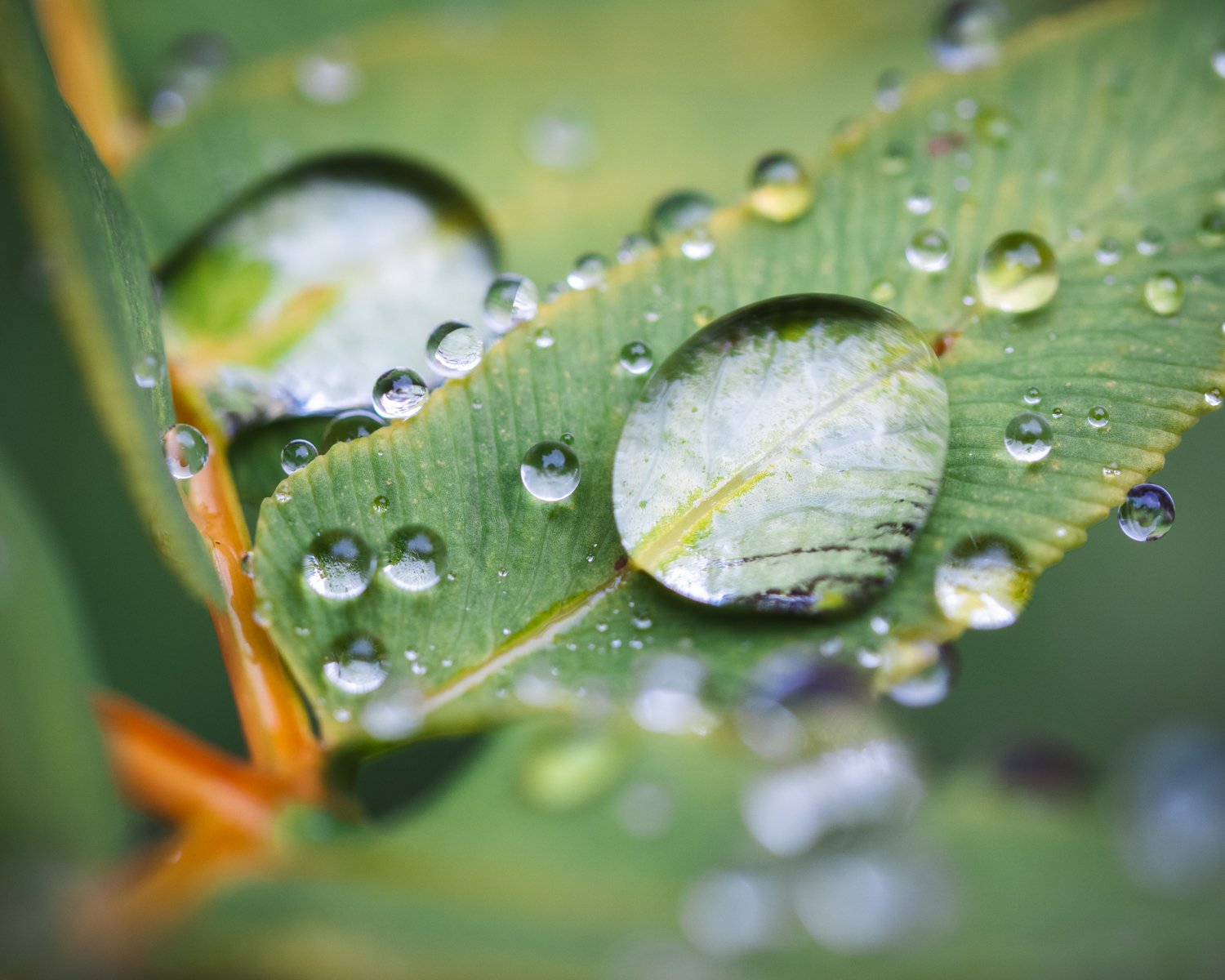 _8040098-Edit.jpg