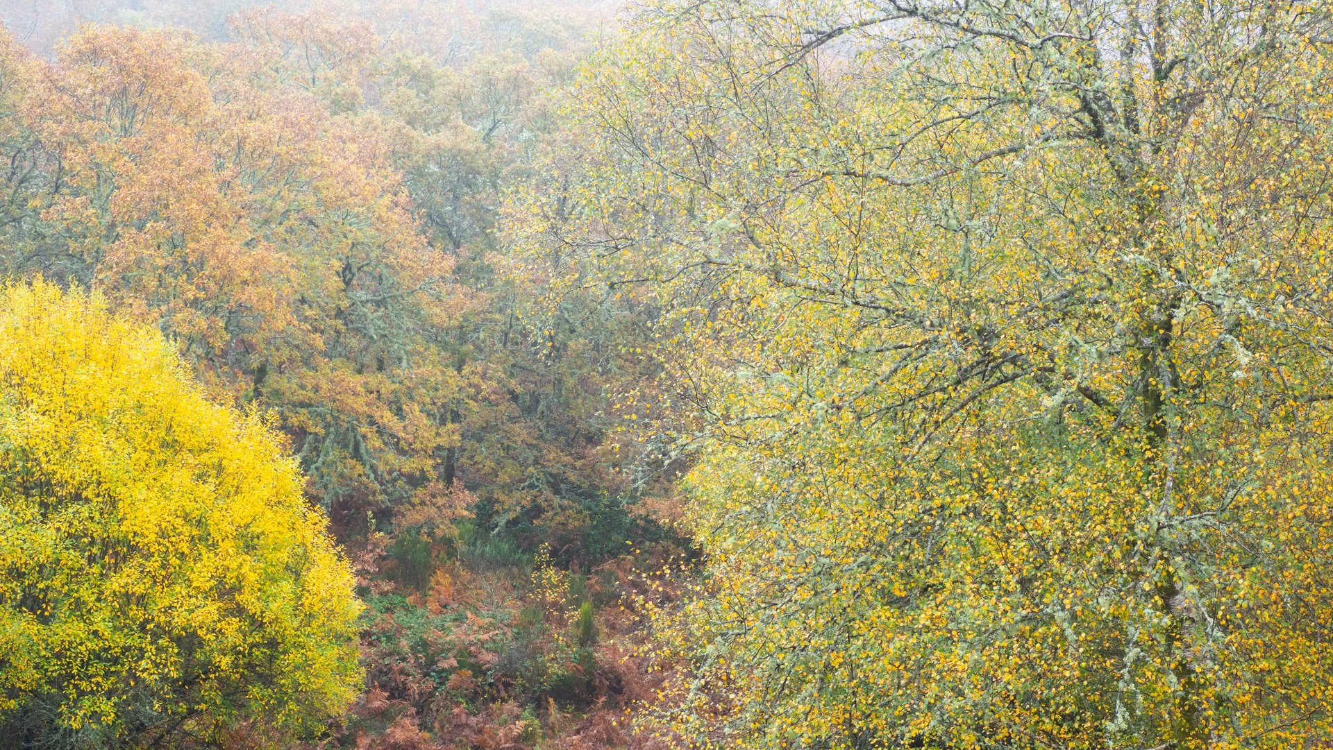 _B100069.jpg