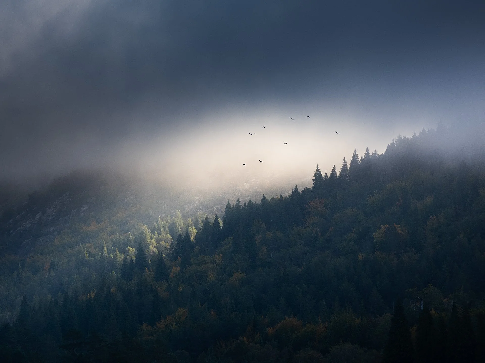 _A100676-Edit.jpg
