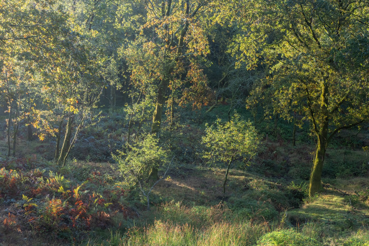 P9121109-Edit-Edit.jpg