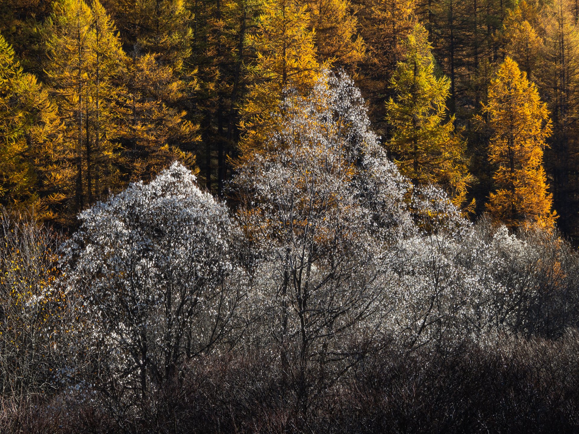 _A230928-Edit.jpg