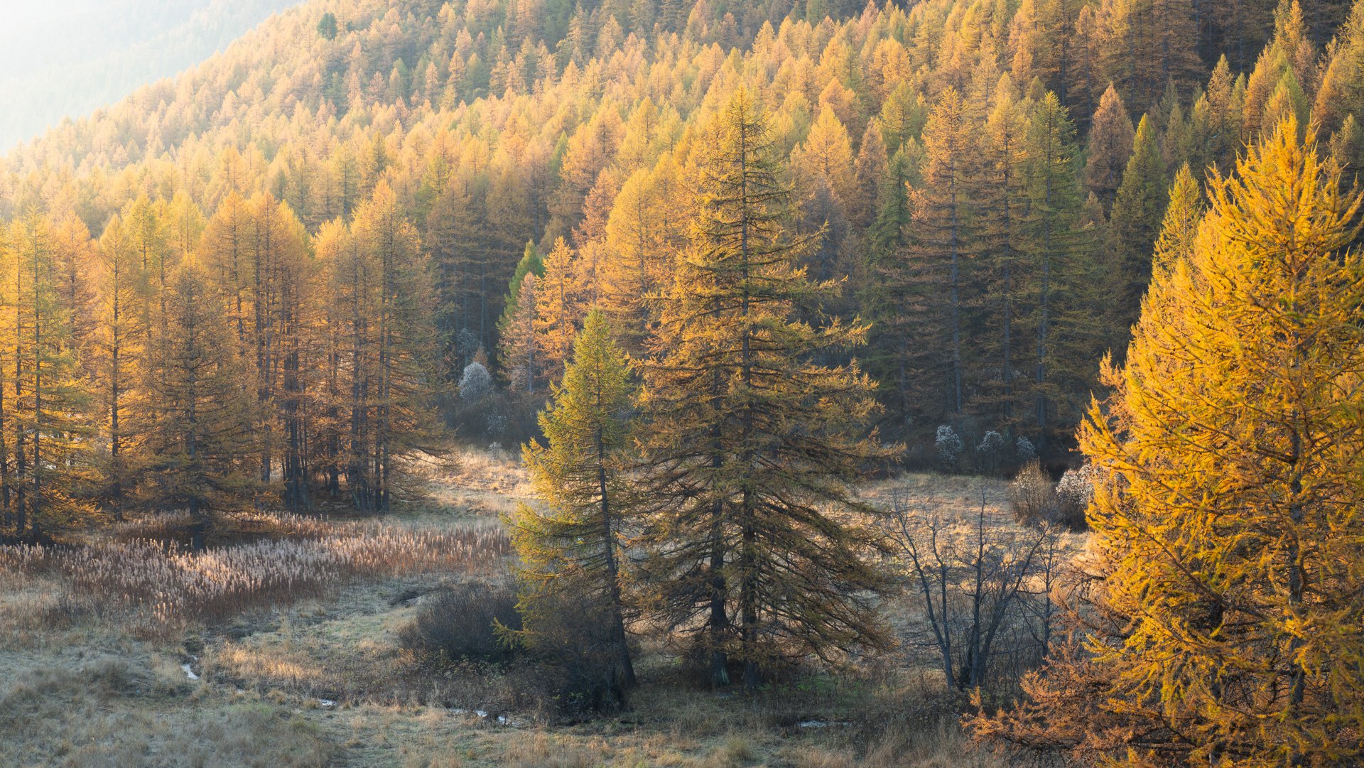 _A230857-Enhanced-NR-Edit.jpg