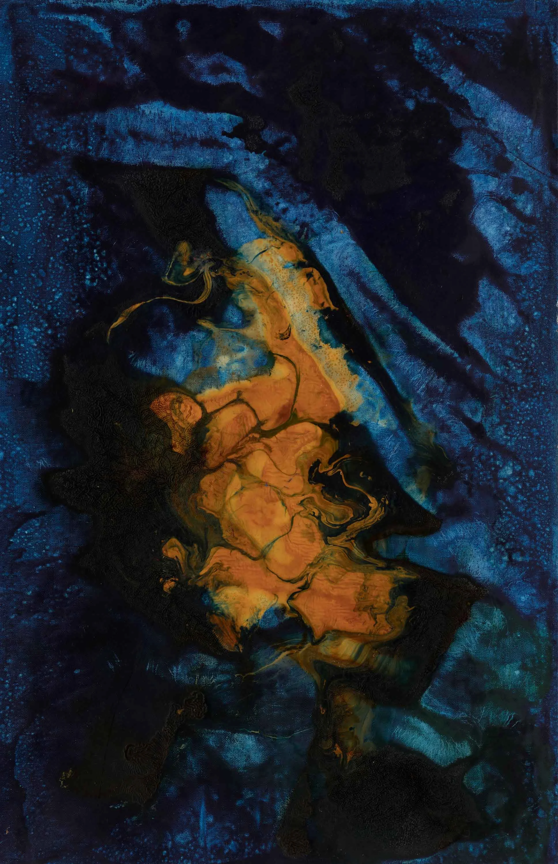 FALLEN ANGEL 2005-2009 /195X126 cm LIGHT exposure
