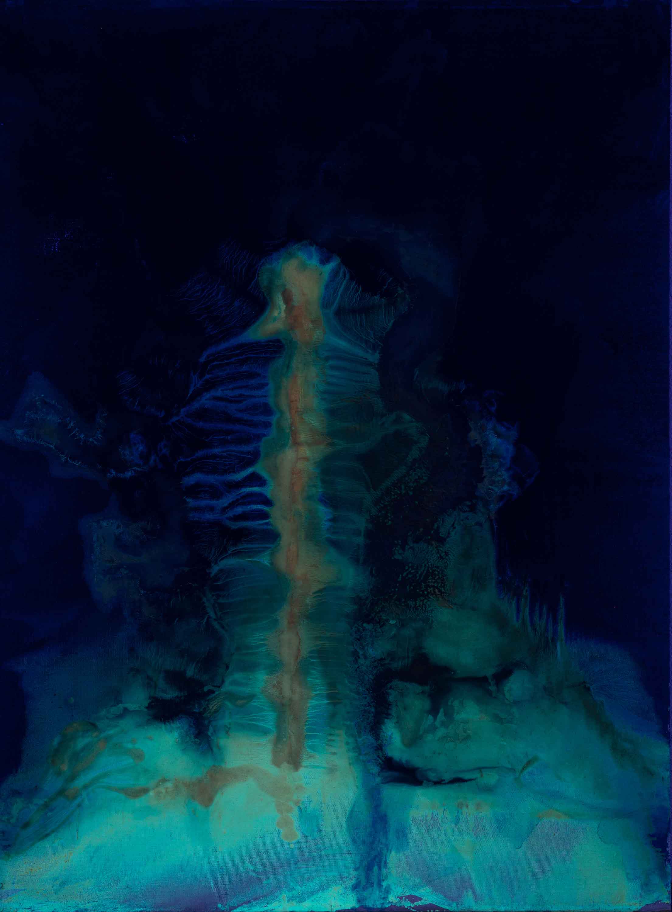 FINITENESS OF LIFE 2005–2009 /195X126 cm UV LIGHT exposure