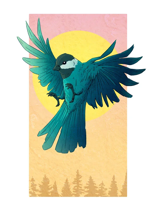Blue Sparrow