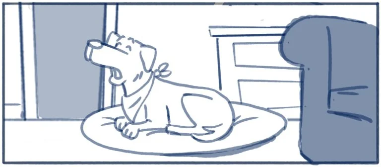 Dog vs Cat STB_02b.jpg