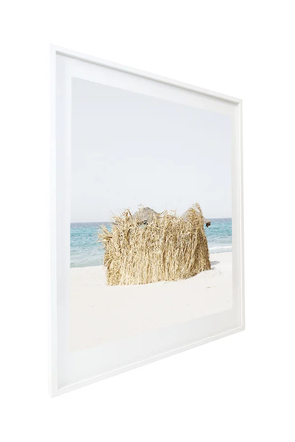 feuillage palm.jpg