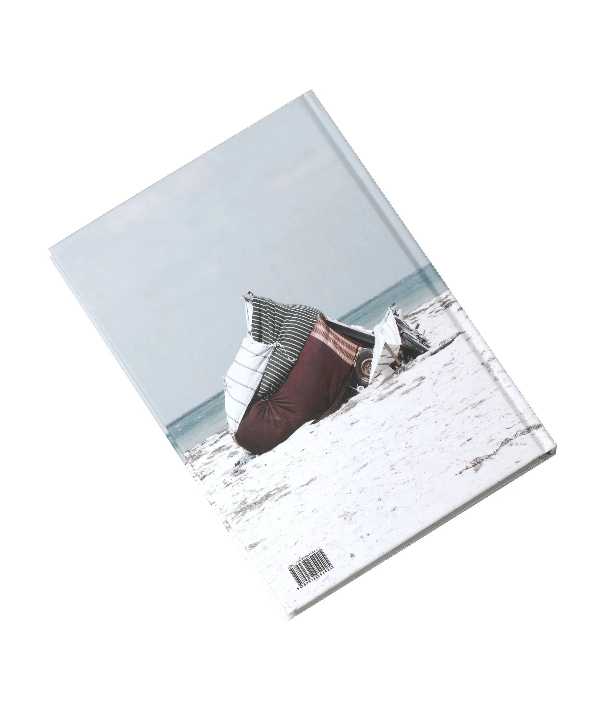 Back cover 2.jpg