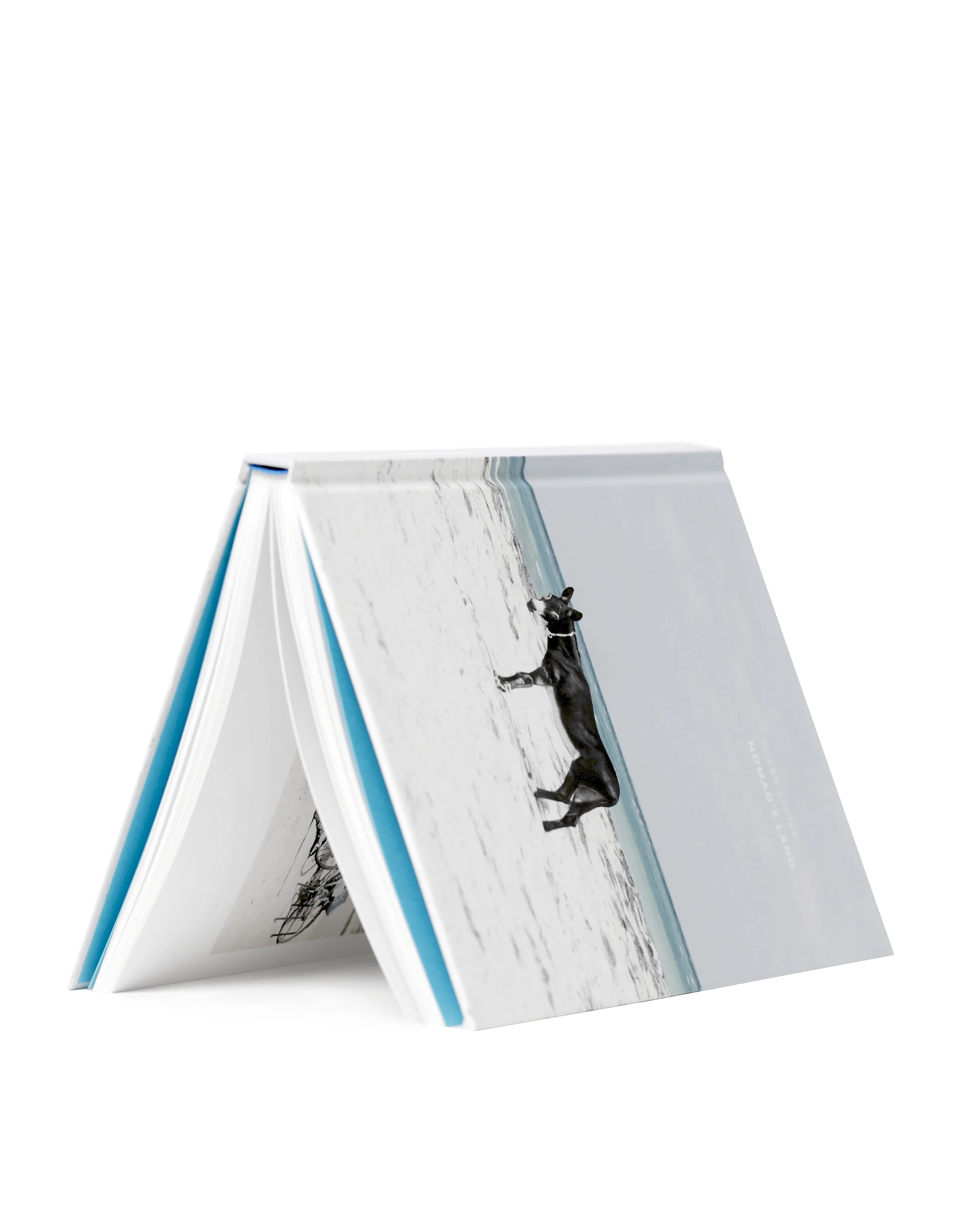 Livre cabane - 300dpi.jpg