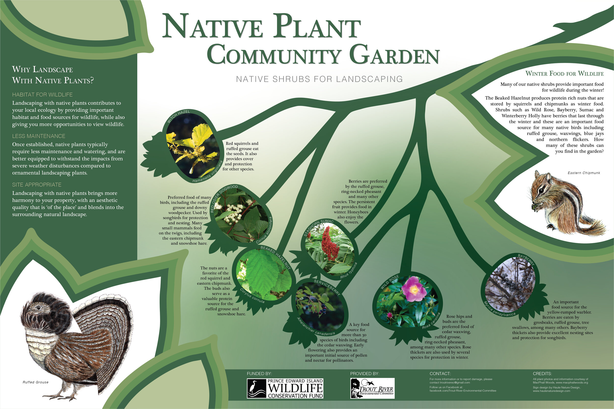 Native Plant Interpretative Signage