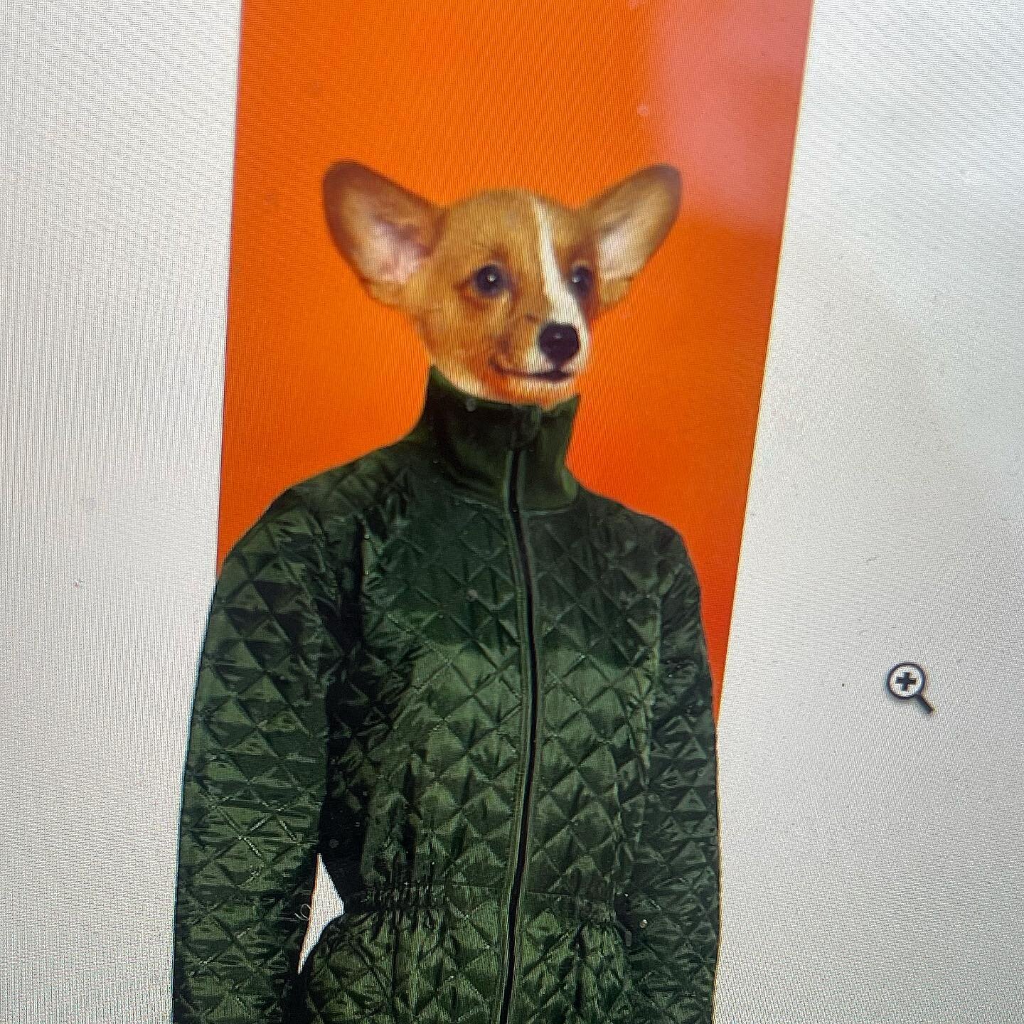 HELLO there. Green version of GO suit with high collar. 🌿 mxia.org
